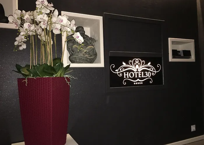 فندق Hotel30 - Adults Only أنينهايم